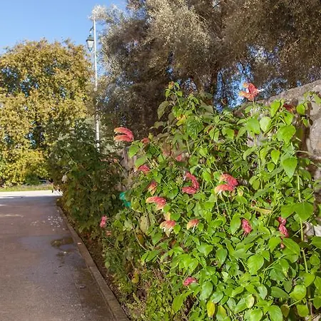 Apartament Emelia *